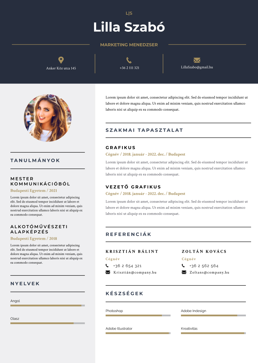Cv tools pro professzion lis n letrajz k sz t se percek alatt